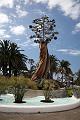 Puerto de la Cruz22
